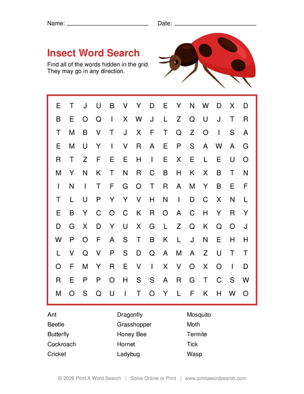 Insect Word Search word search preview